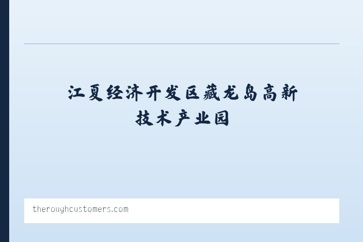 江夏经济开发区藏龙岛高新技术产业园 - The Rough Customers 列表图