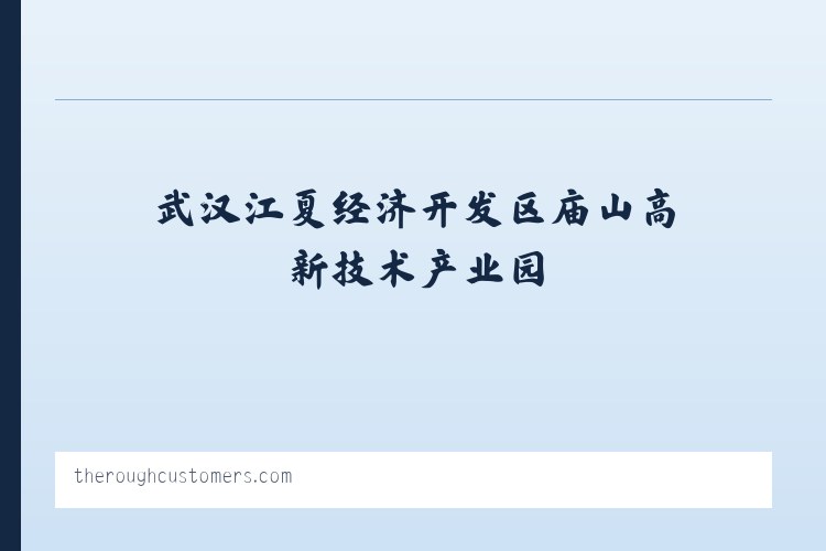 武汉江夏经济开发区庙山高新技术产业园 - The Rough Customers 列表图